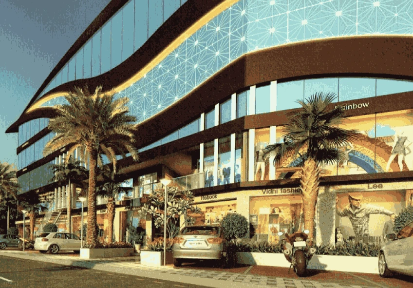 Elita Square Image